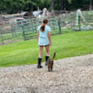 Meet your Posher, Dani